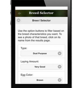 category article image